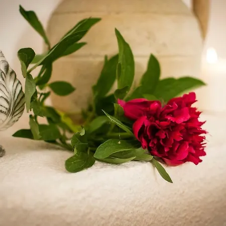 Lejlighed Iannet & Co. *