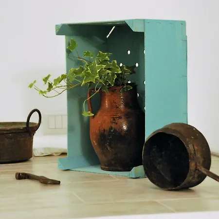 Iannet & Co. Locorotondo